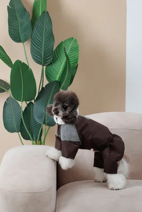 Костюм Pet Fashion Locky М2 для собак: додаткове фото 4