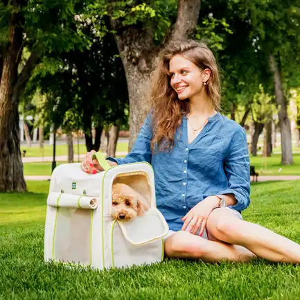 Рюкзак-переноска для котів та дрібних порід собак WAUDOG Relax Eco, 42*34*27 см, до 8 кг: додаткове фото 6