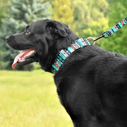 Нашийник для Собак Мартінґейл BronzeDog Urban Нейлоновий з Металевою Фурнітурою Інки XL: додаткове фото 7