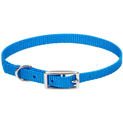 Coastal Nylon Web КОСТАЛ НАЙЛОН ВЕБ нашийник для собак, 1х25см Блакитна лагуна
