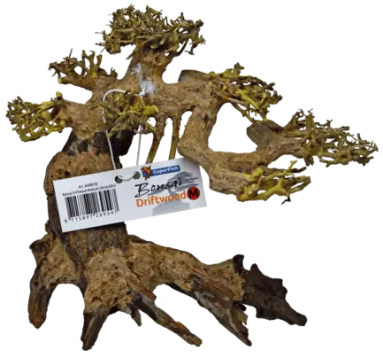 Дерево бонсай BONSAI DRIFTWOOD M (A4080105)