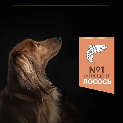 Сухий корм PRO PLAN Small&Mini Adult 1+ Sensitive Skin для дорослих собак дрібних порід з чутливою шкірою з лососем 3 кг: додаткове фото 7