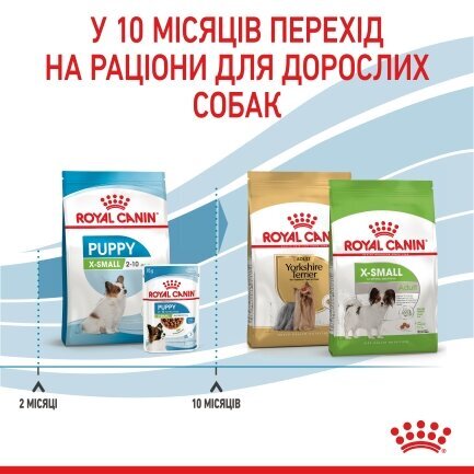 Сухий корм Royal Canin XSMALL PUPPY для цуценят мініатюрних порід 3 кг — Фото 2