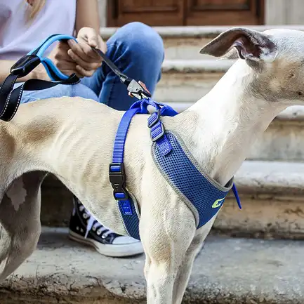 Ferplast NIKITA P XXS HARNESS Шлея, нейлон: додаткове фото 4