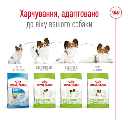 Сухий корм Royal Canin XSMALL ADULT 8+ для собак зрілого віку мініатюрних порід 3 кг: додаткове фото 3