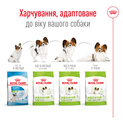 Сухий корм Royal Canin XSMALL ADULT 8+ для собак зрілого віку мініатюрних порід 3 кг — Фото 2