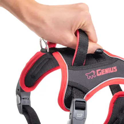 Ferplast GENIUS SMALL RED HARNESS нейлонова шлея для тварин червона: додаткове фото 8