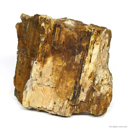 Декоративний природній камінь Hobby Petrified Wood L 2.2-4кг (40688): додаткове фото 2