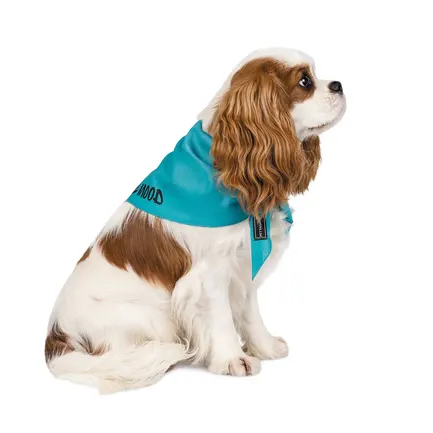 Бандана Pet Fashion «Weekend» для собак, розмір XS-S, блакитна: додаткове фото 2