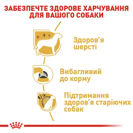 Сухий корм Royal Canin YORKSHIRE ADULT для дорослих собак породи Йоркшир-тер'єр 0,5 кг: додаткове фото 3