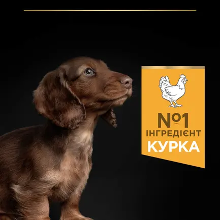 Сухий корм PRO PLAN Small & Mini Puppy <1 Healthy Start для цуценят дрібних порід з куркою 700 г: додаткове фото 5