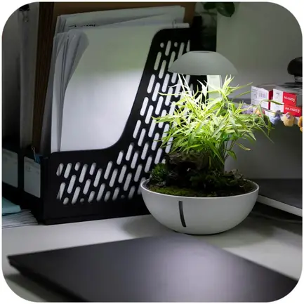 Мінітераріум Chihiros Tiny Terrarium Egg з LED-підсвіткою та керуванням через застосунок: додаткове фото 4