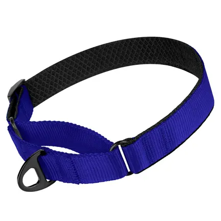 Нашийник для Собак Мартінґейл BronzeDog Mesh Синій L