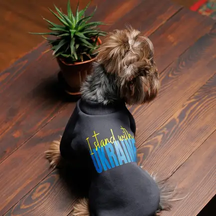Толстовка Pet Fashion "I stand with" для собак, розмір M, сіра: додаткове фото 3