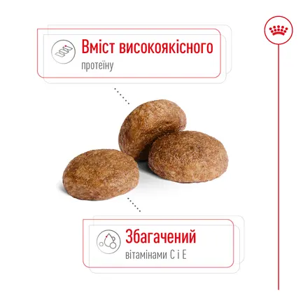 Сухий корм Royal Canin MEDIUM ADULT 7+ для собак зрілого віку середніх порід 4 кг: додаткове фото 5