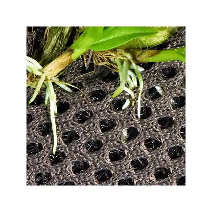 Бавовна з тропічних лісів Wacool Rainforest Plant Cotton M 29х29см (YZM003): додаткове фото 5