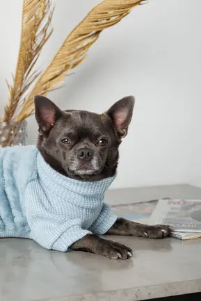 Светр Fur М: додаткове фото 5