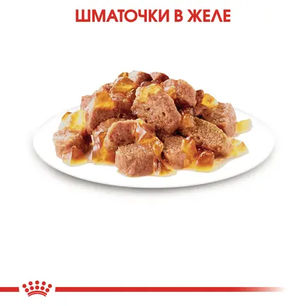 Вологий корм Royal Canin STERILISED JELLY для котів всіх порід 85 г: додаткове фото 4