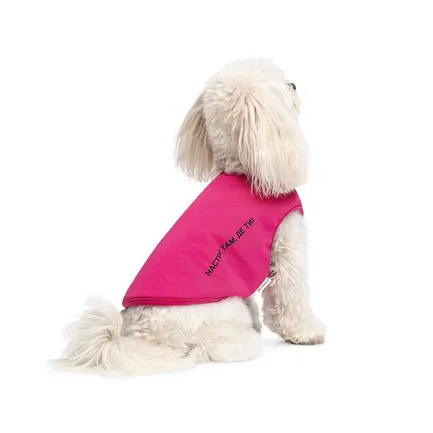 Борцівка Kale ТМ Pet Fashion для собак M малина: додаткове фото 3