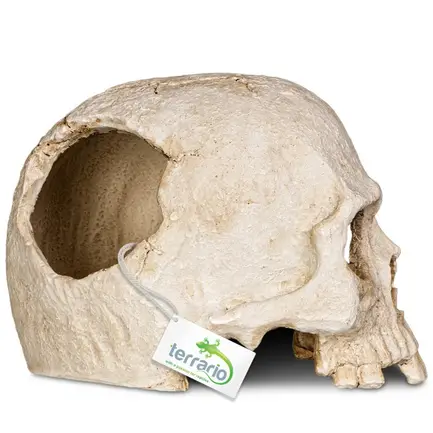 Декорація череп людини Terrario Human Skull 14x11x11см (151211): додаткове фото 6