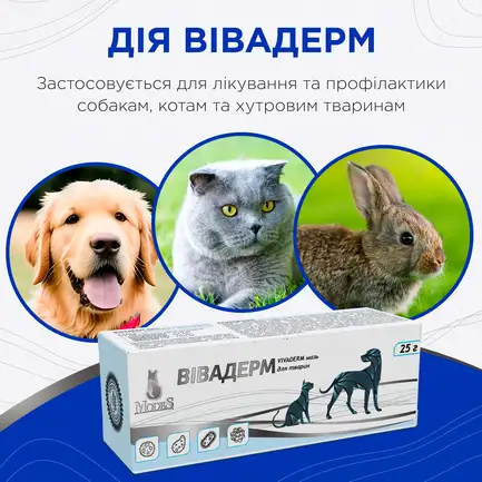 Вівадерм мазь 25 г, MODES: додаткове фото 3