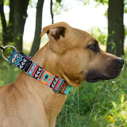 Нашийник для Собак Мартінґейл BronzeDog Urban Нейлоновий з Металевою Фурнітурою Ацтеки M: додаткове фото 4