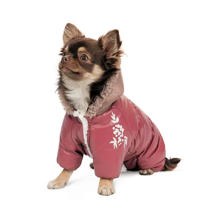 Комбінезон Pet Fashion Cherry S дівчинка для собак: додаткове фото 2