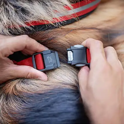 Ferplast DAYTONA CROSS P L HARNESS BLUE Шлея для собак: додаткове фото 5