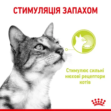 Вологий корм Royal Canin SENSORY SMELL JELLY для котів всіх порід 85 г: додаткове фото 3