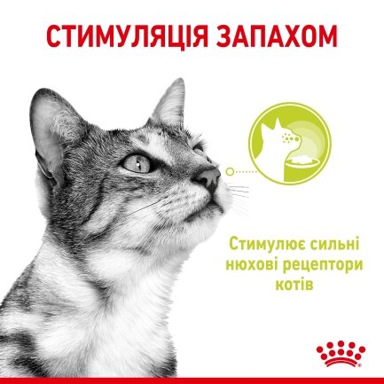 Вологий корм Royal Canin SENSORY SMELL JELLY для котів всіх порід 85 г — Фото 2