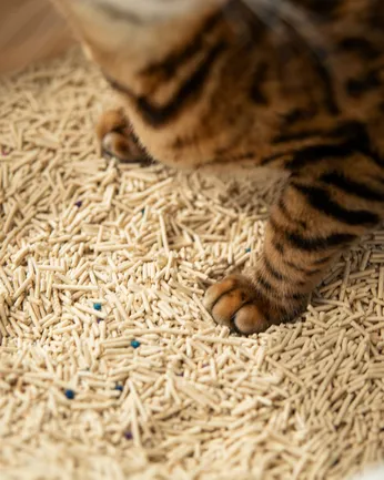 VELVET PAW TOFU Наповнювач для котячих туалетів з бентонітом та екстрактом зеленого чаю, гранули 1,5 мм, 6 л/2,6 кг: додаткове фото 6