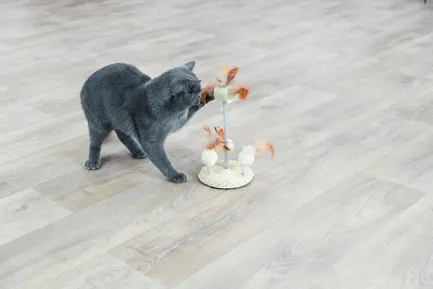 Іграшка для котів Trixie набір на пружинках люфа сизаль, 15 х 30 см: додаткове фото 2