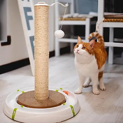 Ferplast MAGIC TOWER Іграшка-трек для котів: додаткове фото 4