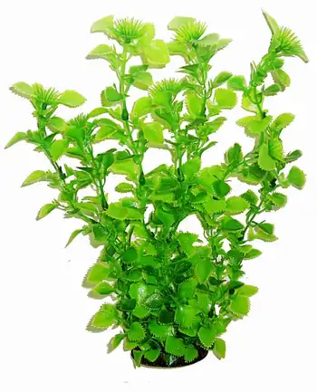 Акваріумна рослина Aquatic Plants, 34 см х 6 шт / уп (3451)