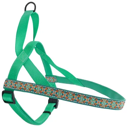 Coastal Ribbon Weave Harness КОСТАЛ РІББОН ВЕЙВ шлея для собак Темно-бірюзовий з кісточками