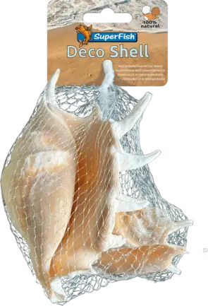 Декоративні мушлі SF DECO SHELL SPIDER 150 GRAM (A4080435)