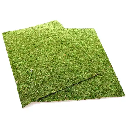 Фон моховий Repti-Zoo Natural Moss Back & Bottom 50x25см 2шт. (NCM5025): додаткове фото 6