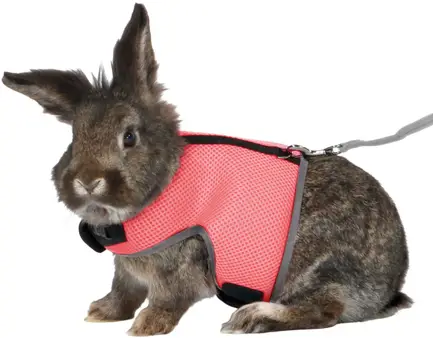 Шлейка з повідцем Trixie Soft для великого кролика, нейлон, XL: 25-40 см (кольори в асортименті): додаткове фото 4