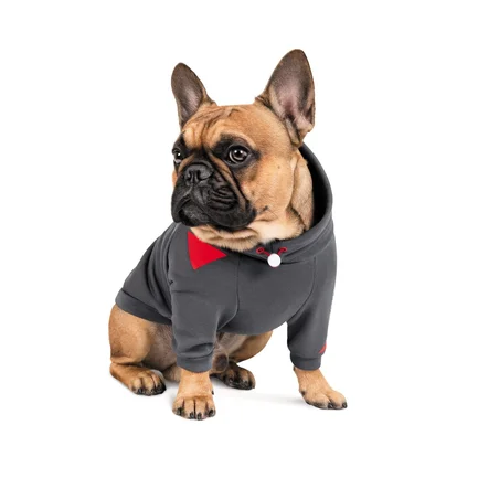 Худі Pet Fashion «Snoodie» для собак, розмір M, сірий: додаткове фото 3
