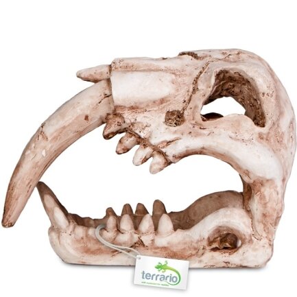 Декорація череп тигра Terrario Sabertooth Skull 13x8,5x11см (15911) — Фото 4