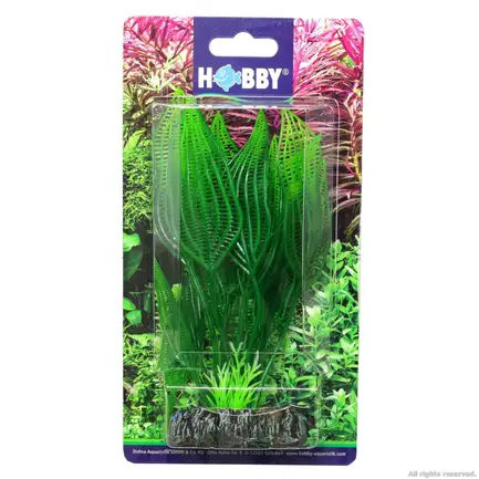 Штучна рослина Hobby Aponogeton 16см (51577): додаткове фото 2