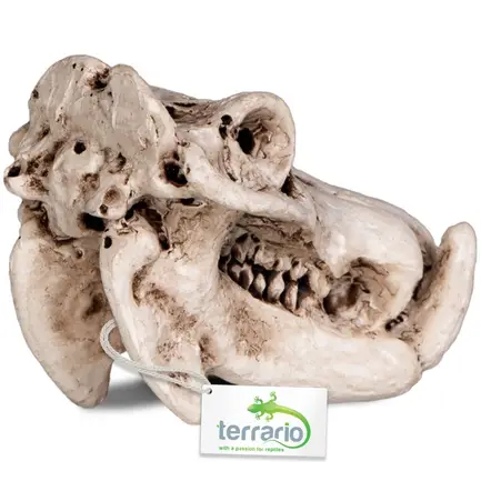 Декорація череп бегемота Terrario Hippo Skull 5x3x3см (533): додаткове фото 3