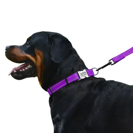 Нашийник для Собак BronzeDog Active Нейлоновий зі Світловідбиттям та Металевою Пряжкою Фіолетовий L: додаткове фото 4