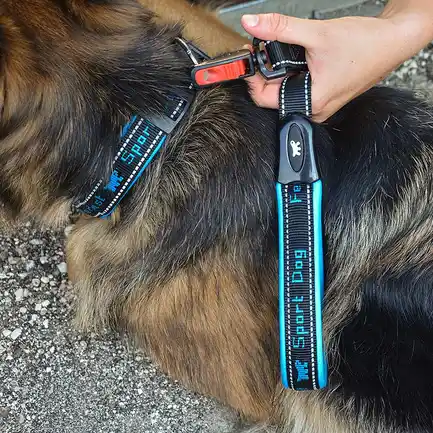 Ferplast SPORT DOG C25/55 BLUE Нашийник, нейлон: додаткове фото 4