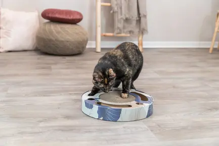 Дряпка Trixie Барабан з двома кульками та котячою м'ятою, картон, d 33×5,5 см (блакитна): додаткове фото 4