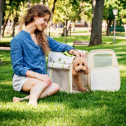 Рюкзак-переноска для котів та дрібних порід собак WAUDOG Relax Eco, 42*34*27 см, до 8 кг: додаткове фото 7