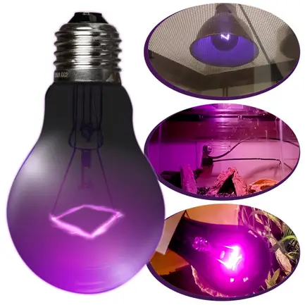 Нічна лампа з підігрівом Repti-Zoo Night Heat Bulb 35W (MHL35): додаткове фото 3