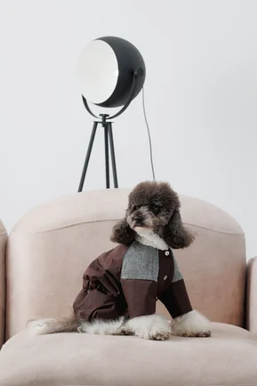 Костюм Pet Fashion Locky М2 для собак: додаткове фото 5