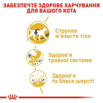 Сухий корм Royal Canin SIAMESE ADULT для сіамських котів 0,4 кг: додаткове фото 4