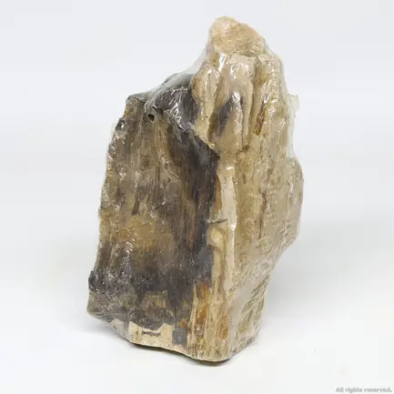 Декоративний природній камінь Hobby Petrified Wood S 0.3-1.0кг (40686): додаткове фото 3